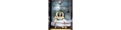 மேல் படப்பை